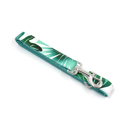 Pet Collar Traction Set Dog Collar Traction Belt Dog Rope Walking Set